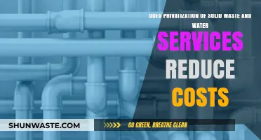 Privatizing Solid Waste and Water Services: Cost-Effective Solution or Expensive Mistake?