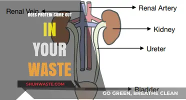 Protein in Waste: Fact or Fiction? Unraveling the Mystery