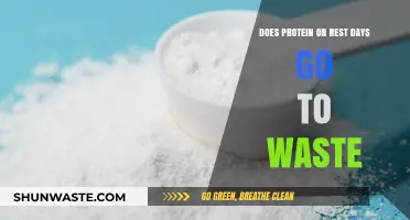 Protein on Rest Days: Does It Really Go to Waste?