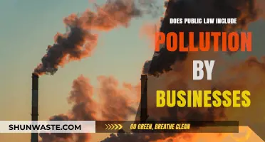Public Law: Business Pollution and Legal Boundaries