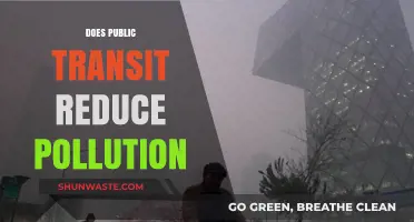 Public Transit: A Green Solution to Pollution?