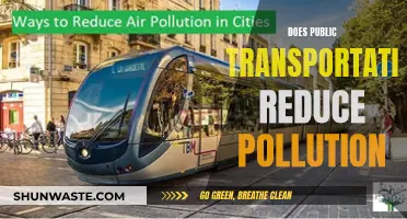 Public Transportation: Reducing Pollution, Improving Our Cities