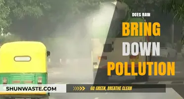 How Rain Affects Air Pollution Levels