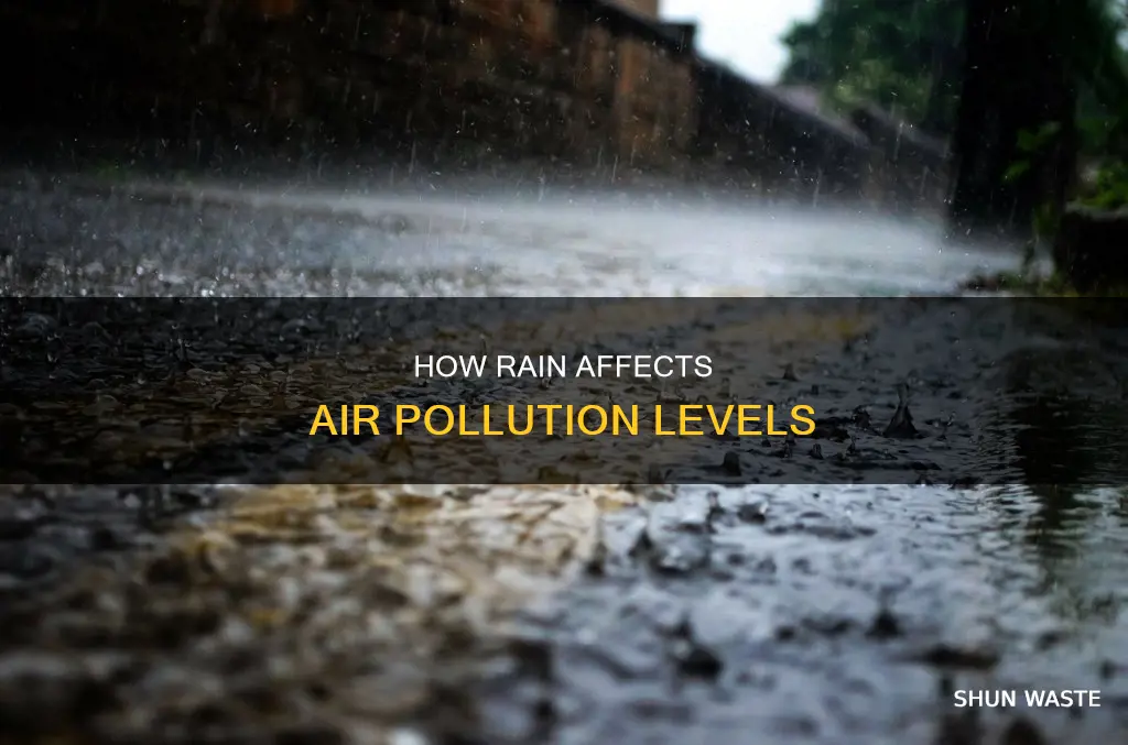 does rain bring down pollution