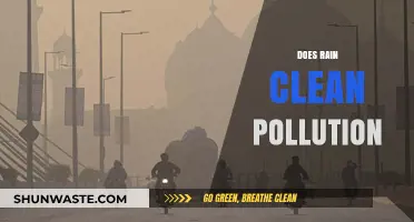 How Rain Affects Air Pollution: A Natural Cleanse?