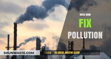 How Rain Affects Pollution: A Complex Relationship