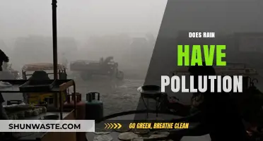 How Clean Is Rainwater?
