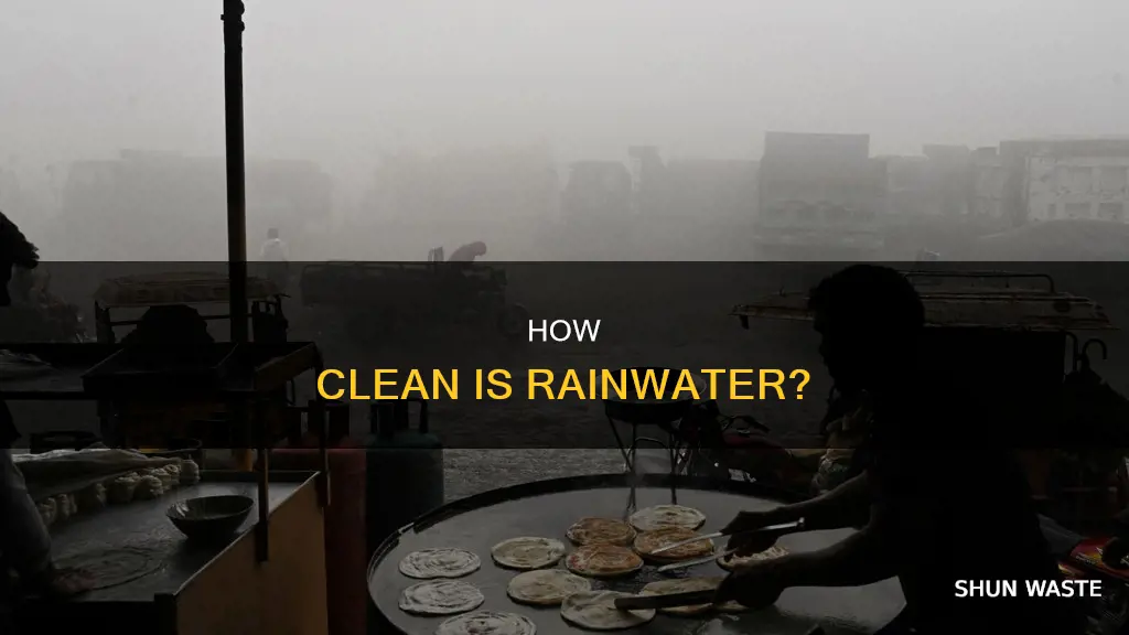 does rain have pollution