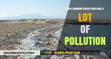 Rainbow Beach Park: A Pristine Paradise or Polluted Eyesore?