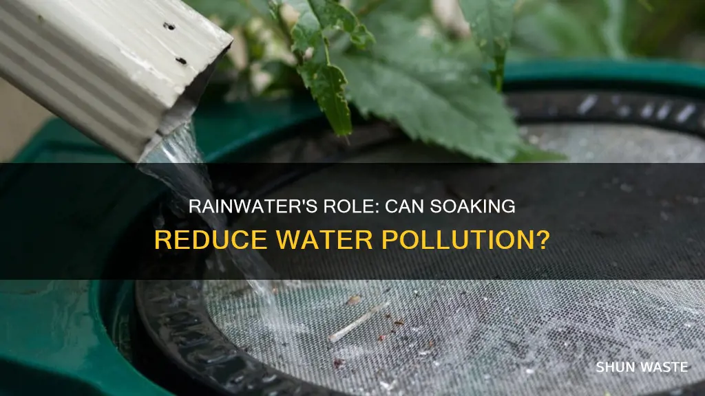 does rainwater soaking decrease water pollution