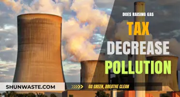 Gas Tax Hike: Pollution Solution or Problem?