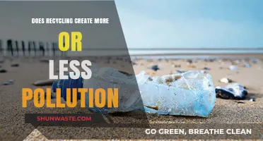 Recycling: Pollution Solution or Problem?