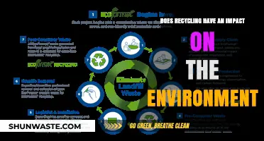 Recycling's Environmental Impact: Uncovering the Truth Behind Its Effects