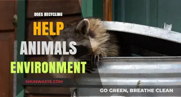 Recycling's Impact: How It Protects Animals and Preserves Ecosystems