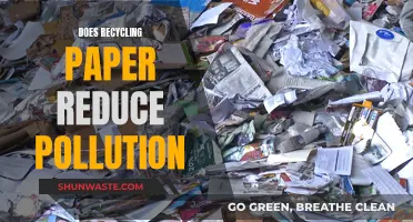 How Paper Recycling Helps Fight Pollution