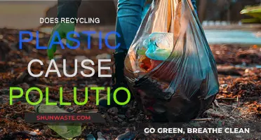 Recycling Plastic: A Double-Edged Sword for the Environment