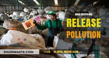 Recycling's Dark Side: Pollution from Processing