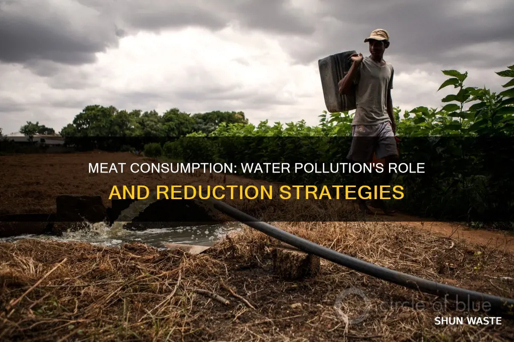 does reducing meat consumption reduce water pollution