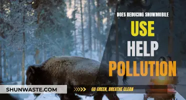 Snowmobile Use Reduction: Pollution Solution?