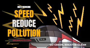 Speed Reduction: A Solution to Pollution?