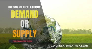 Pollution Reduction: Impact on Demand and Supply Dynamics