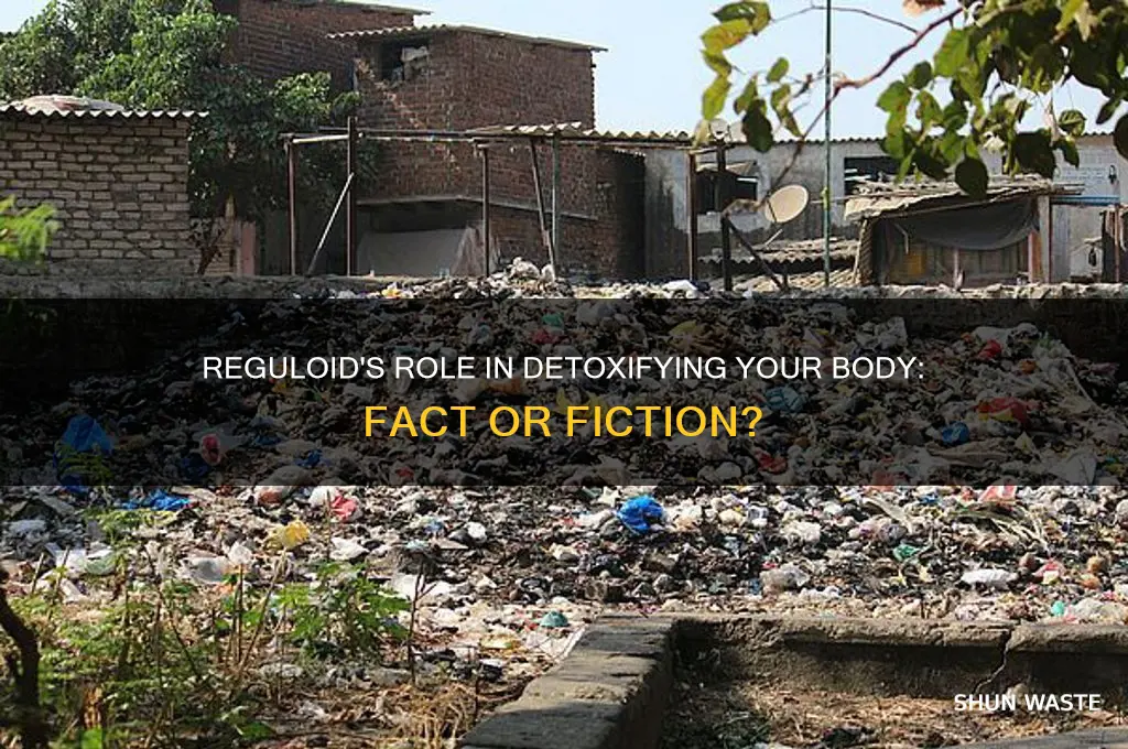 does reguloid clear out the waste from your system