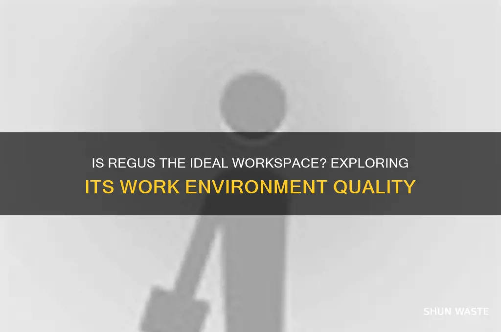 does regus offer a good working environment