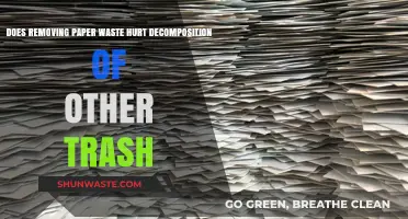 Paper Waste Removal: Impact on Decomposition of Other Trash Explained