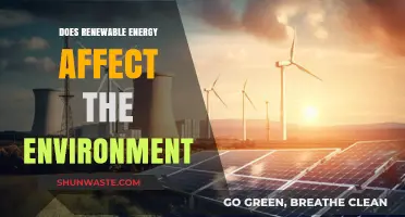 Renewable Energy's Environmental Impact: Benefits, Challenges, and Sustainability