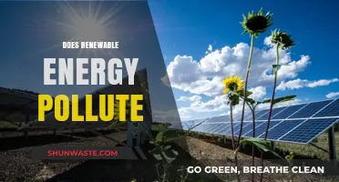 Renewable Energy: Pollution-Free Power?