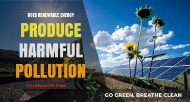 Renewable Energy: Pollution-Free Power?
