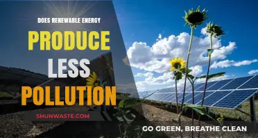 Renewable Energy: Less Pollution, Better Future