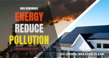 Renewable Energy: Pollution Solution or Problem?