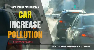 Revving Engines: Pollution and Performance