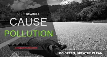 Roadkill's Impact: Uncovering the Hidden Environmental Cost