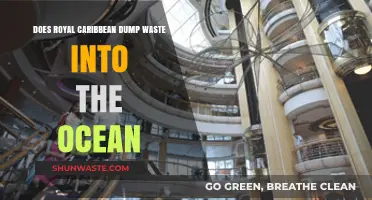Royal Caribbean's Environmental Impact: Ocean Waste Dumping Concerns Explored