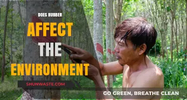 Rubber's Environmental Impact: Sustainability Challenges and Eco-Friendly Solutions