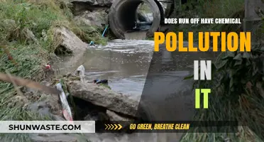 Chemical Contamination: Runoff's Hidden Danger