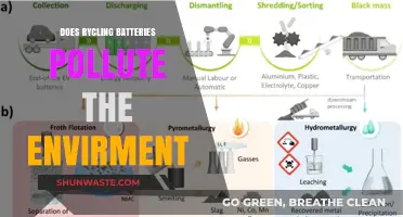 Battery Recycling: Environmental Impact and Solutions