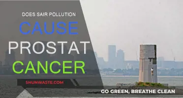 Air Pollution's Impact: Prostate Cancer Risk and Environmental Factors