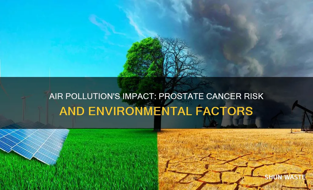 does sair pollution cause prostate cancer