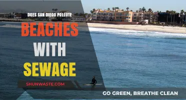 San Diego Sewage Crisis: Polluting Our Beaches?