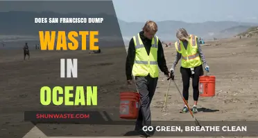 San Francisco's Ocean Waste Disposal: Fact or Fiction?