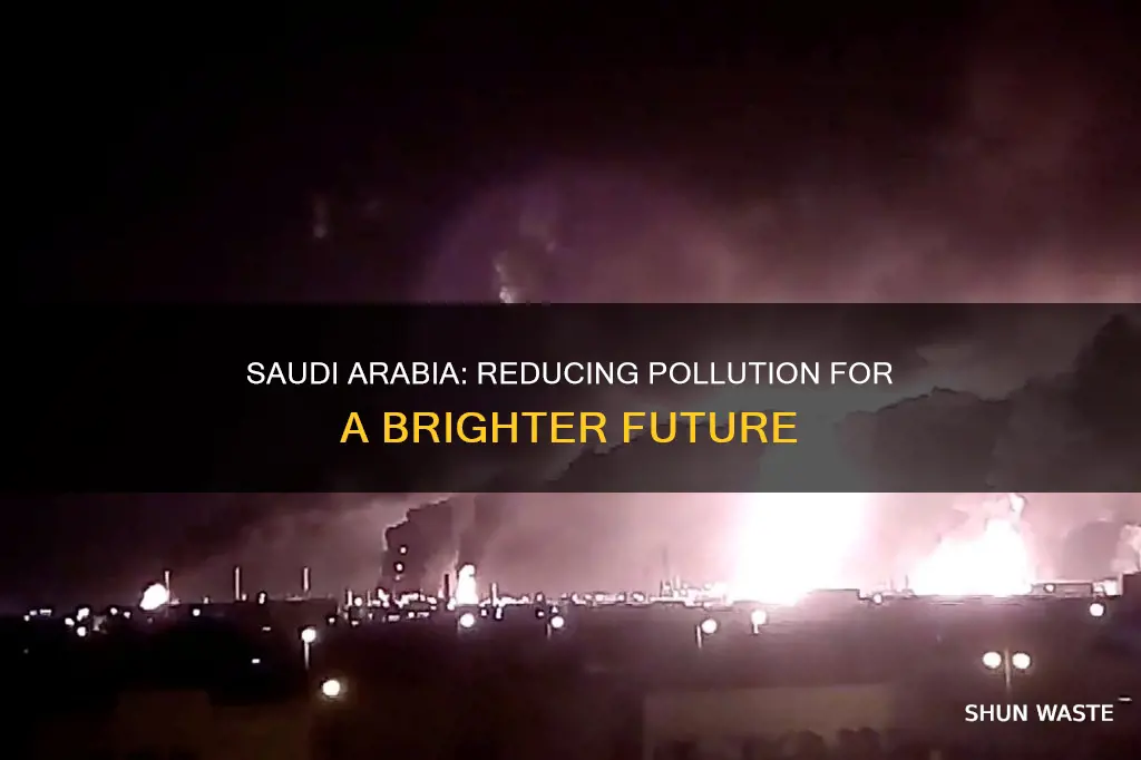 does saudi arabia need ways to reduce pollution