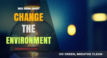 Saving Energy: A Powerful Tool to Transform Our Environment