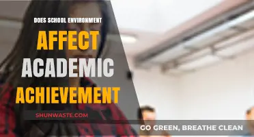 How School Environment Shapes Academic Success: Key Factors Explored