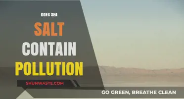 How Safe is Sea Salt from Pollution?
