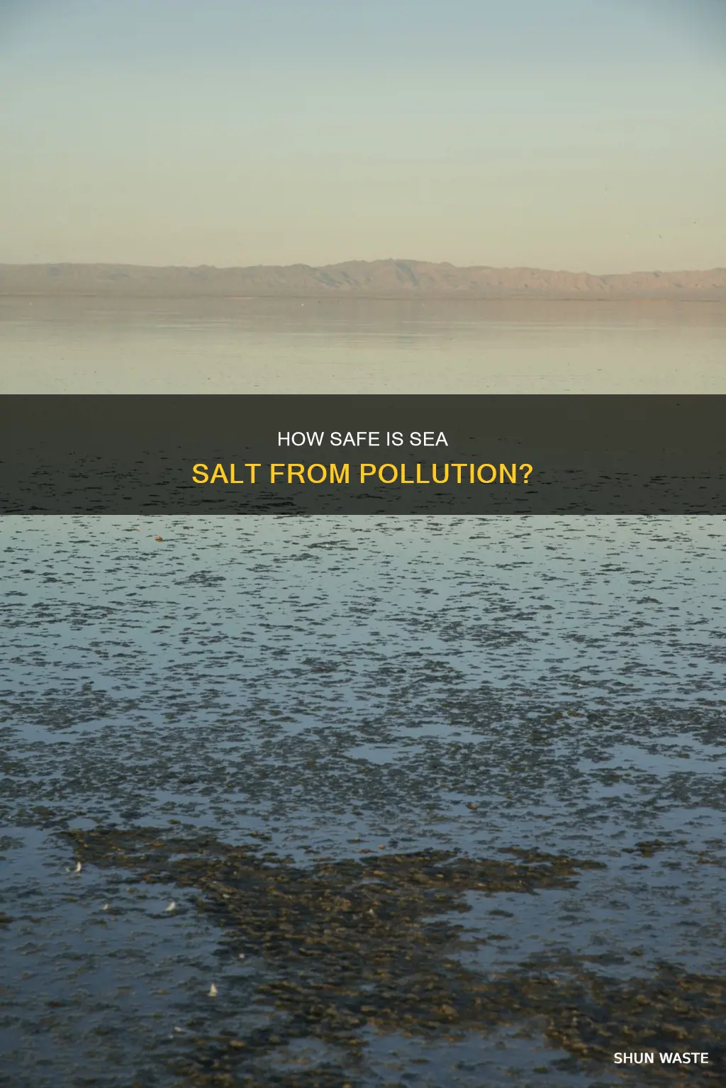 does sea salt contain pollution