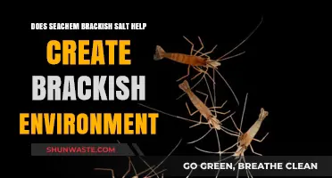 Seachem Brackish Salt: Creating Optimal Brackish Environments for Your Aquarium