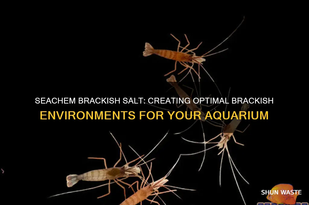 does seachem brackish salt help create brackish environment